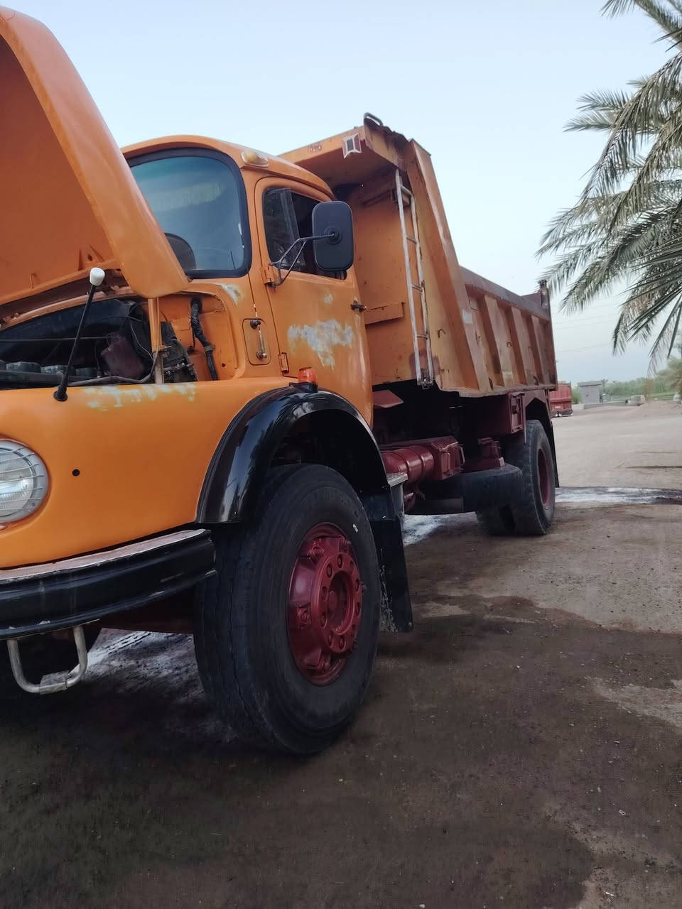 قجمه للبيع موديل 82 محرك جديد كير جديد  تخم تايد سياره جاهزه    ***********
