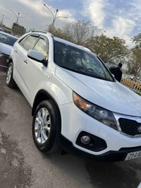 ٢٠١١ • رقم سليمانية دولي • بدون صبغ