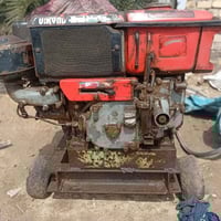 مولد فيتنامي • ميسان • للبيع