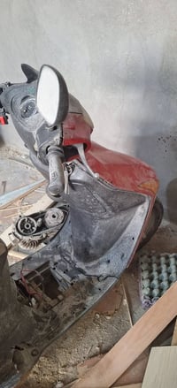 البصره ابي الخصيب • فراسه شغاله • صوت مكاني