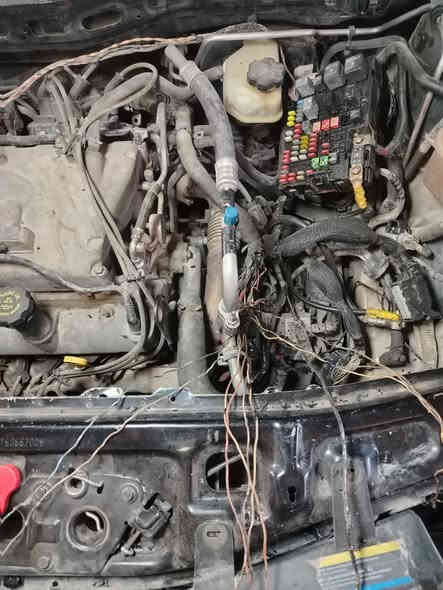 شفر اكونكس 2007
🚘🚘🚘🚘🚘🚘🚘🚘🚘🚘

#اعمال كهربائيه....👇 

#تبديل قبق علبة فيت بم 

#تبديل طوافات وتشغيل كيج البنزين

#صيانة نضام المكابح الالكتروني ال ( ABS)

#تصفير وبرمجة زاوية ستيرنك (مانع الانغلاق) 

#تبديل حساسات ال ABS وصيانة ظفيرة الحساسات

#تبديل وبرمجة ال BCM

#تبديل يدة لايت

#صيانة علبة الافيوزات

#اعادة ربط الهورن

#صيانة ظفيرة المحرك تبديل فيش حساس كرنك وحساس الطرق

#تبديل بلف الحماوه ومعالجة هبوط كيج الحماوه

#ورشة انور سوزوكي كربلاء الحي الصناعي الابلوك الثاني

📱***********

📱***********
