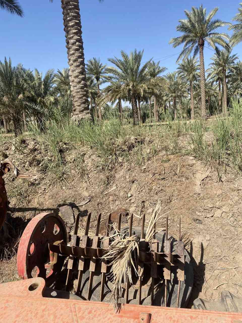 للبيع معمل تبان تفصيخ كامل بدون اي ضرر فلاوينات عدد 2 سرد جرار جك كاردن كامل +كير بوكس مكفول  ✅.

***********
