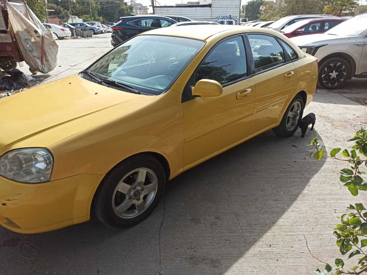 سلام عليكم سيارة اوبترا للبيع شركة عامة للسيارات السيارة مكفولة من الحوداث ومحرك وكير خير من رب العالمين سعر65 وبيها مجال بسيط للتواصل عن السيارة *********** يوجد واتساب للاتصال
