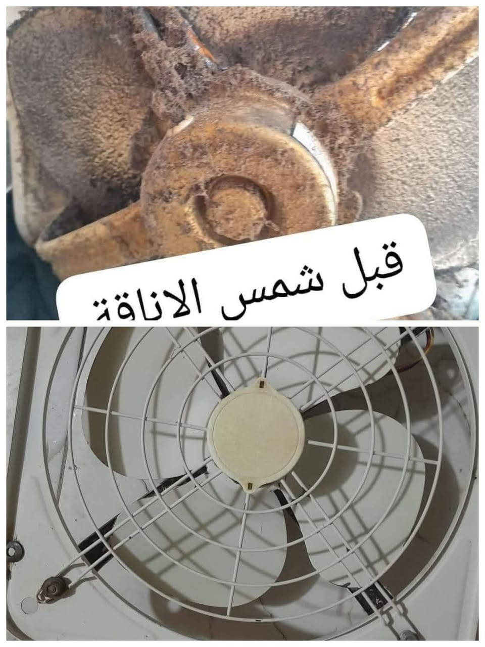 بطش كيلو 5
مزيل دهون 
اصلي اصلي شرط 
متوفر جمله مفرد 
توصيل داخل ميسان الفين مناطق البعيده 3
القضيه والنواحي 5
عليهن ألعباس رفعن منشور باب رزقي واحيد


**إذا كنت صاحب هذا الإعلان وتريد حذفه لأي سبب، رجاءا أرسل رسالة إلى الدعم الفني**