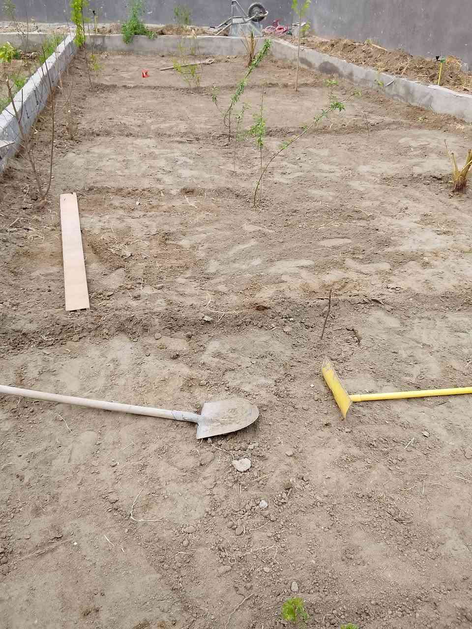 السلام عليكم ورحمه الله وبركاته نشتغل مزارع وحدائق...زراعه . ديكورات عامه .. نشتغل بلحله فقط ***********واتساب ..أو راسلني
