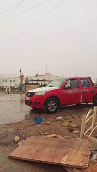 كريت ويل • سنوية منتهية • راعي موجود