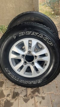 النجف • دلوب اصلي • جنوط ١٧