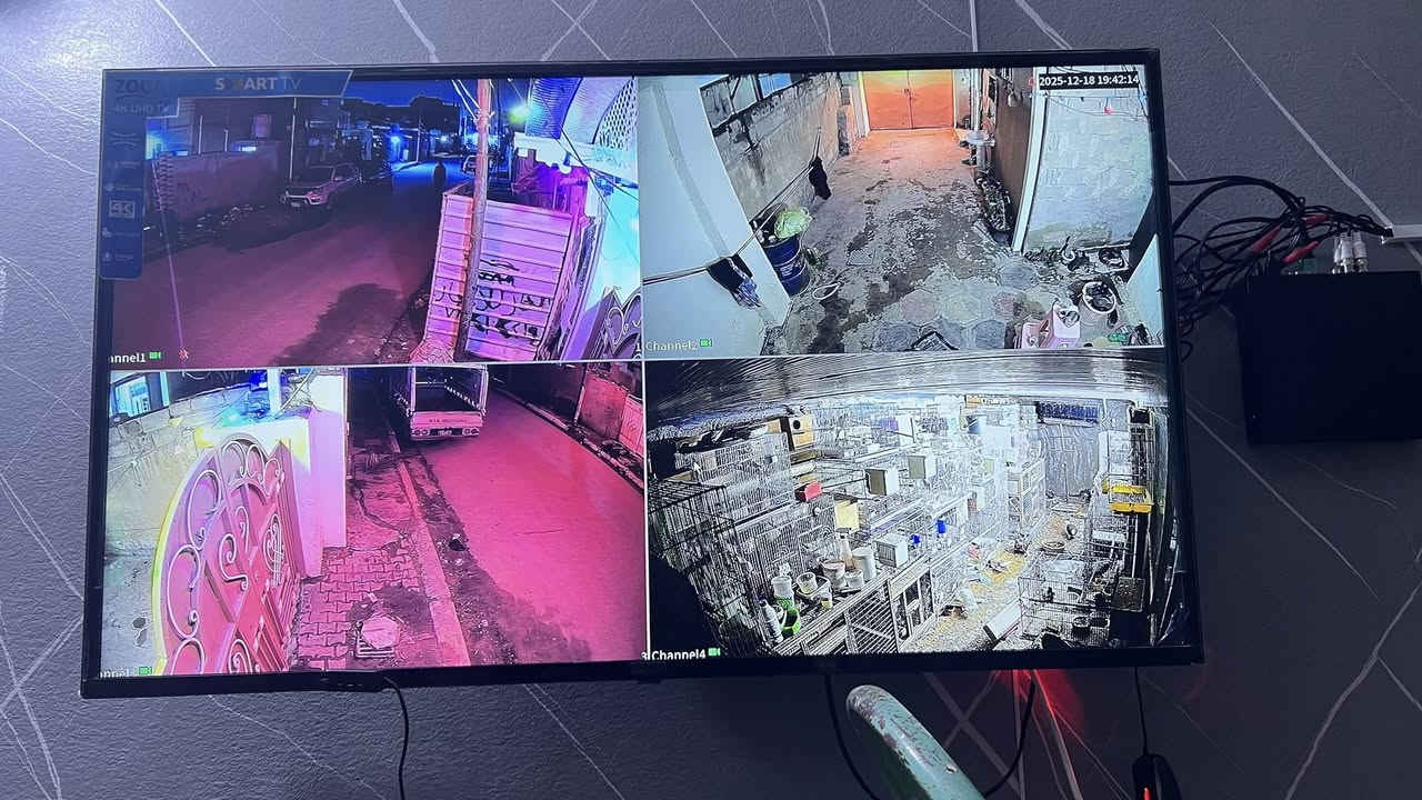 #خليك وية الاصلي #الفول كلر 2 ميكا
#عرض ال 4 كامرات فول كلر ملون ليلي نهاري 
صورة وصوت 🎤

لاصحاب #السوبر ماركت و #العيادات الطبية و مراكز #التجميل و #المدارس الروضات الاهلية 

#صورة و صوت 🎤

 كامرات شركة دهوى العالمية

1️⃣ جهاز تسجيل 4 DVR جنل

2️⃣ 4 كامرات دهوى ملون ليلي نهاري

3️⃣ هارد خزن سعة 500G تسجيل 13 يوم

4️⃣محولة 5 امبير اصلية لتشغيل الكامرات باور

5️⃣ برنامج DMSS لتشغيل الكامرات على الهاتف📱

#تجيك او تاخذهه من المحل كاملة مبرمجة عليك بس تسلك الوايرات وتشغل واذا تحب يجيك فني لبيتك او لمكانك او موقعك ينصبهن هم موجود 🚕 
🙏
واتس اب☎️
***********

يوجدتوصيل سعر المنضومة 240 الف

العمل في جميع مناطق كربلاء فقط.  🛻
