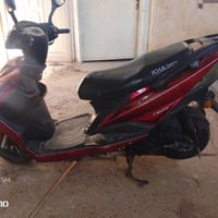 سكنس ثعلب • للبيع