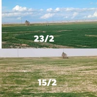 منشطات الحنطه • NPK • هيومك