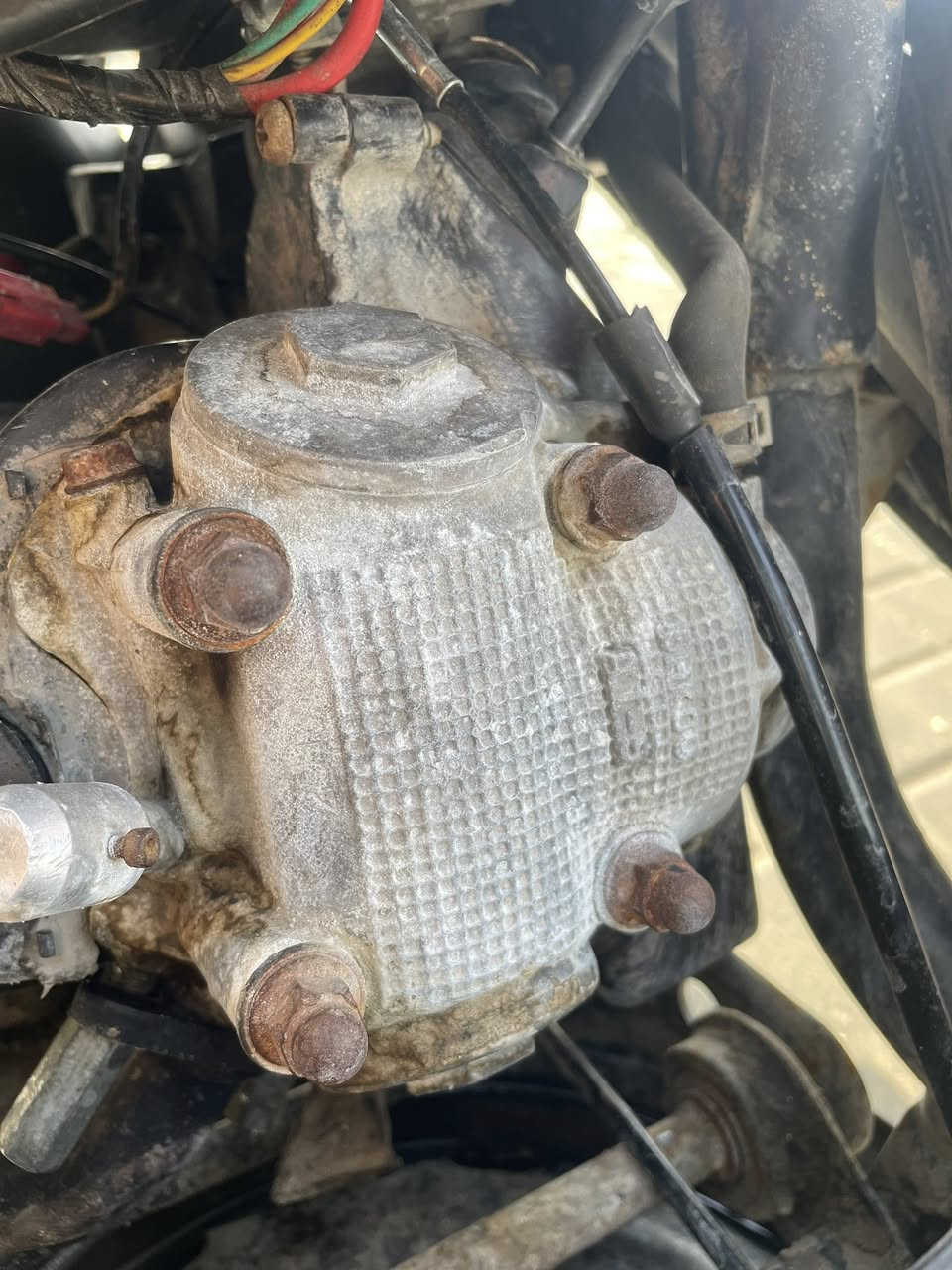 السلام عليكم 
دراجه ماكس بوشه 49 مفتوحه فقط ربل ولف دراجه كلهه بلاديه  ومختمه من الطول. لطول  نهضه ومعدل ودراجه حلوه  ونضيفه ومامتعوبه نقصه فقط بريك كدام ولايت كدام والبقيه كله شغاله السعر 675 وبيه مجال قليل مكاني شارع التاميم قرب افران السوداني ***********
