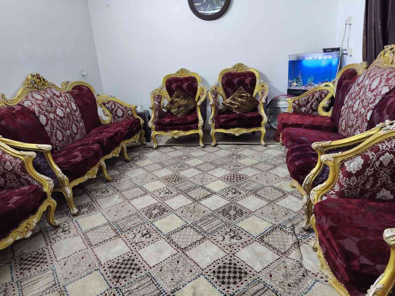 تخم زان مصري  لبيع ١٠ مقاعد
***********  في بغداد شارع حيفاء
