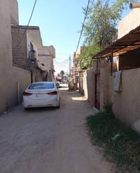 البوبيات الحر الصغير • ٧٥م • حمامين