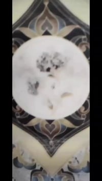 خلفه سراميك جدران ارضي الاواح شغل درجه اولى متفرغ حاليآ شرط استلام الم...