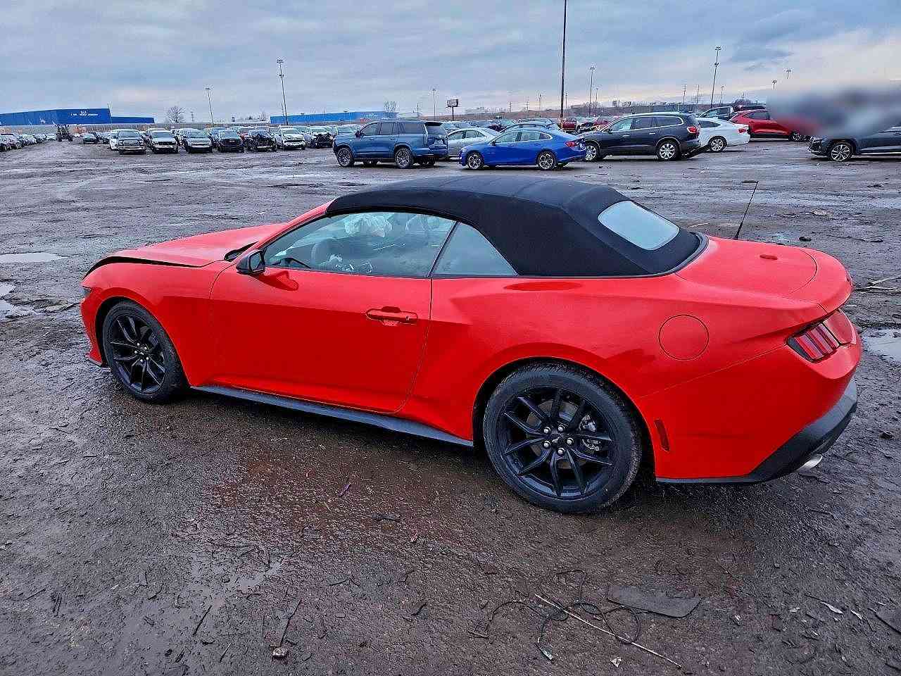 🔴 اعلان مزاد  🔴
~~~~~~~~~
🚘نوع السيارة :  2026 FORD MUSTANG

🔍الفئة:  MUSTANG

❌الحادث او الضرر : كما موضح بالصور  

🚀حجم المحرك :   2.3L 4

⚙️السلندر: 4

🛞 نظام دفع المركبة:  Automobile

💰#السعر : حسب المزايدة  

🗒تاريخ مزاد السيارة :# 20/2/2026

لحضور المزاد الرابعة عصرا لدى مكتبنا ‼️ 
*********************************************
*********************************************
☑️عنوان النجف الاشرف / المناذره /بدايه شارع الحيره..
☎️للاستفسار والاتصال على الارقام التالية ☎️: 
مكتب ياسر العبايجي للمزادات الامريكيه
***********
***********

___________________
🏦 مكتب ياسر العبايجي للمزادات الامريكية والكندية لتجارة جميع انواع السيارات الوارد الامريكي 🇺🇸والكندي 🇨🇦 
 اختصاص مزاد( COPART ,IAAI, MANHEIM) 
___________________
