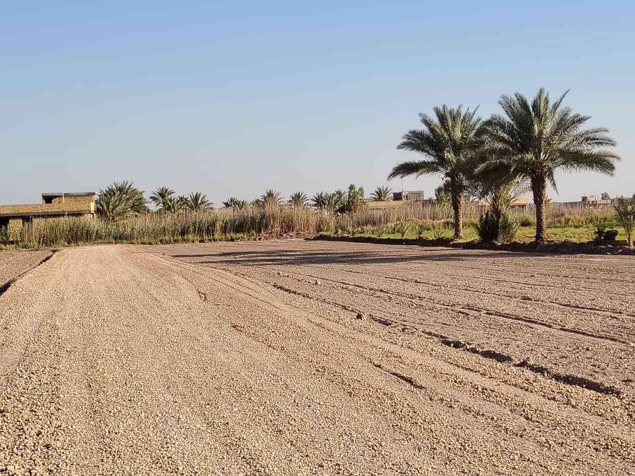 يعلن مكتب الصادق للعقار عن افتتاح الموقع الجديد بكافة المساحات قرب جامعة بابل يبعد عن طريق حله نجف 700 متر متوفر كافة الخدمات طابو زراعي سند ٢٥ تحويل باسم المشتري للاستفسار الاتصال
***********
***********
اوزيارة مكتب الصادق للعقار قرب البوابه

