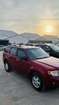 اسكيب • ٢٠١٠ • فول اوبشن