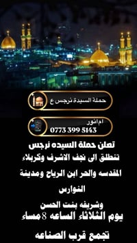 حملة نرجس • النجف وكربلاء • ليلة مولد المهدي