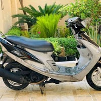 ماكس منغولي • كفالة • مجال شراي
