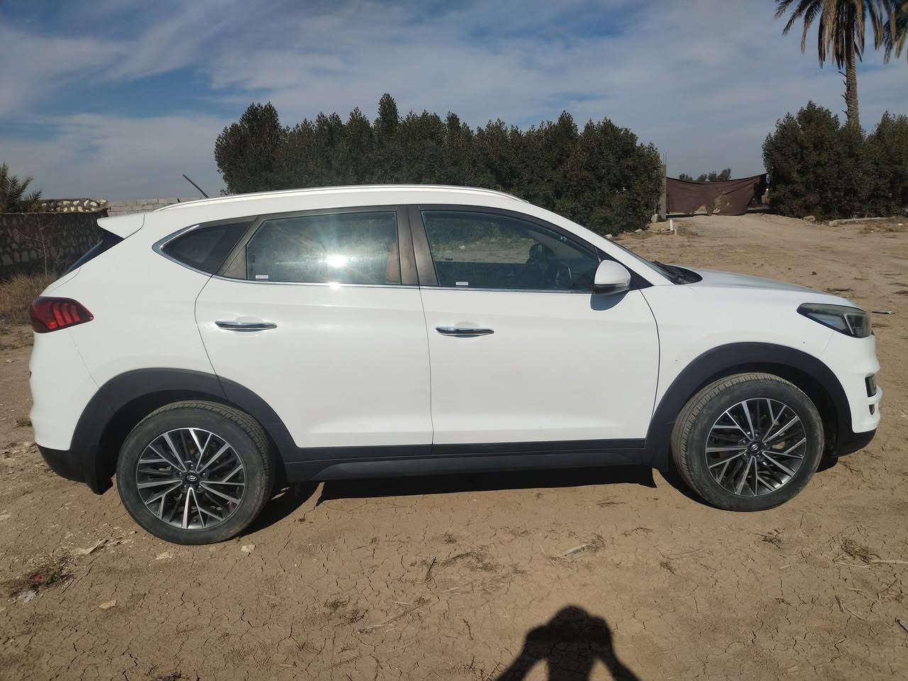 اللهم صل على محمد وآل محمد الطيبين الطاهرين
توسان ٢٠١٩ خليجي..
سيارة مكفوله والسونار مرفق بالصور
محرك ٢٠٠٠ /تبريد قطعتين/ ماشيه ٩٥ الف/
٥ عدسات لايت زنون / تخم تاير جديد/ سنوية باسمي ٢٠٢٩/ رقم بابل/ داخل صاج / تحكم ستيرن/ اشارة مري وشفط/ ارضية جلد /فول مواصفات عدا البصمه .
بيه شخط بالبنيد شبر فقط  وباب السايق موضح بالسونار 
والي ياخذه بالعافيه عليه وشايف كل الخير
مايعجبك المنشور علق يا الله..
السعر١٩٢ $
وبيه مجال للشراي
***********
مكان السياره بابل /جبله
