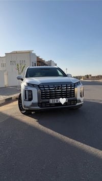 باليسايد كاليگرافي • ٤٧ الف كم • ضرر ٣ قطع