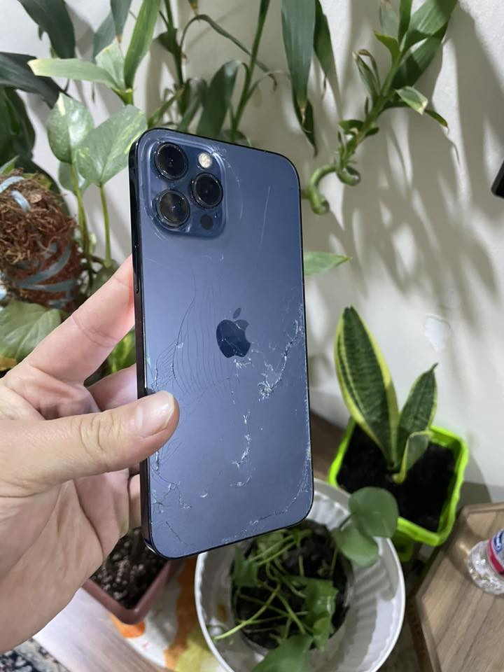 12 برو ماكس ذاكره 256 بطاريه 87
دبل خط كله بلادي فقط واكع وضهر نكسر وطلع شعار كمره 
فيس ايدي كامرات اتصال مايكات كله شغال 
مكفول من اي عطل كامل مكمل 
وسعره بفلس ونص 360 الف 
سعره 360 الف كلش مناسب اذا لكييت ارخص منه بلعافيه 
بغداد الدوره 
***********
