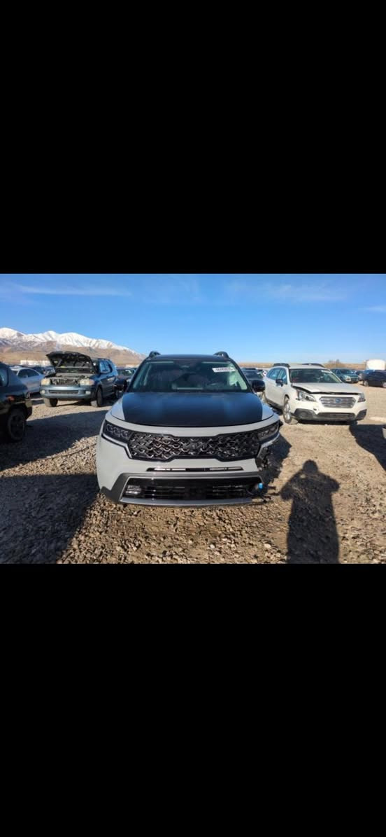 سورنتو 2023 وارد امريكي حادث صدر سياره جديده ماشيه 28 شاصي ولغد مقفوله فول مواصفات 1/1سعر 320مكانهه بغداد حي العامل ***********
