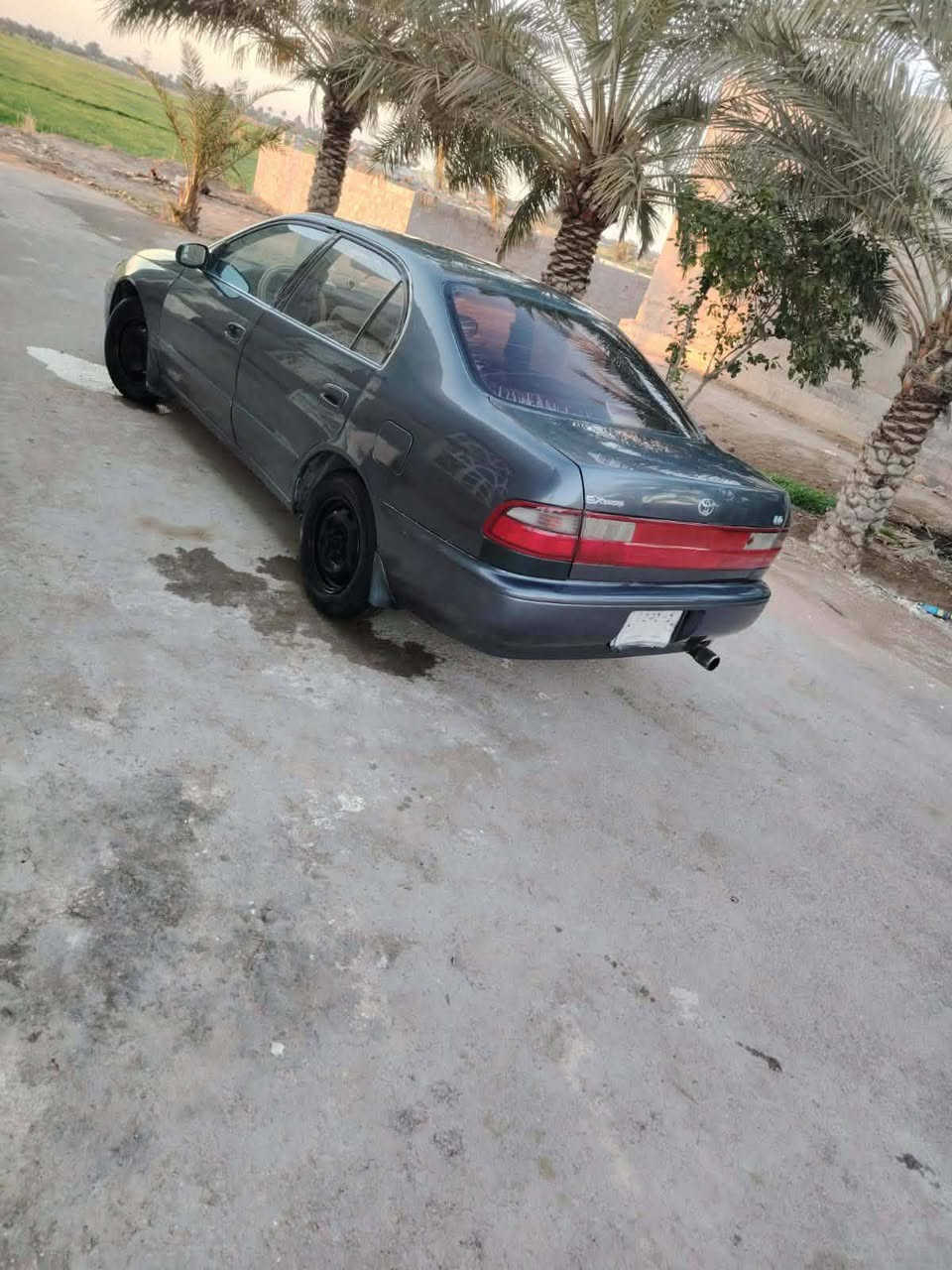 سلام عليكم كرونه نفخ مديل 94 رقم نجف ابسمي سنويه مجدد29 مكفوله من كص وضربه ونقل جثه جاهزه على أخير حبايه مكينه كير جدد حداديه جديده تخم تاير جديد كهربائيات كله شغاله سنتر لوك ارضيه مفروشه جلد بطاين جدد كشنات جديد دشبول جديد  سعر ٥٣ وبيه مجال  ***********مكاني نجف ناحيه الحريه
