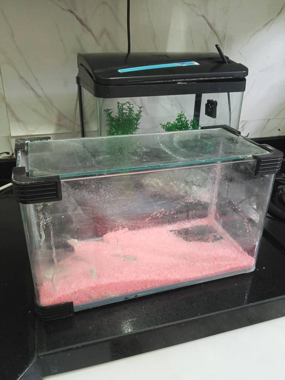 للبيع


**إذا كنت صاحب هذا الإعلان وتريد حذفه لأي سبب، رجاءا أرسل رسالة إلى الدعم الفني**