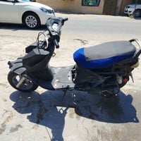 فراشه فحل • نضيفه • نقصه كفر