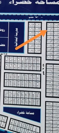 بدور الايتام • ٢٥٠م • طابو