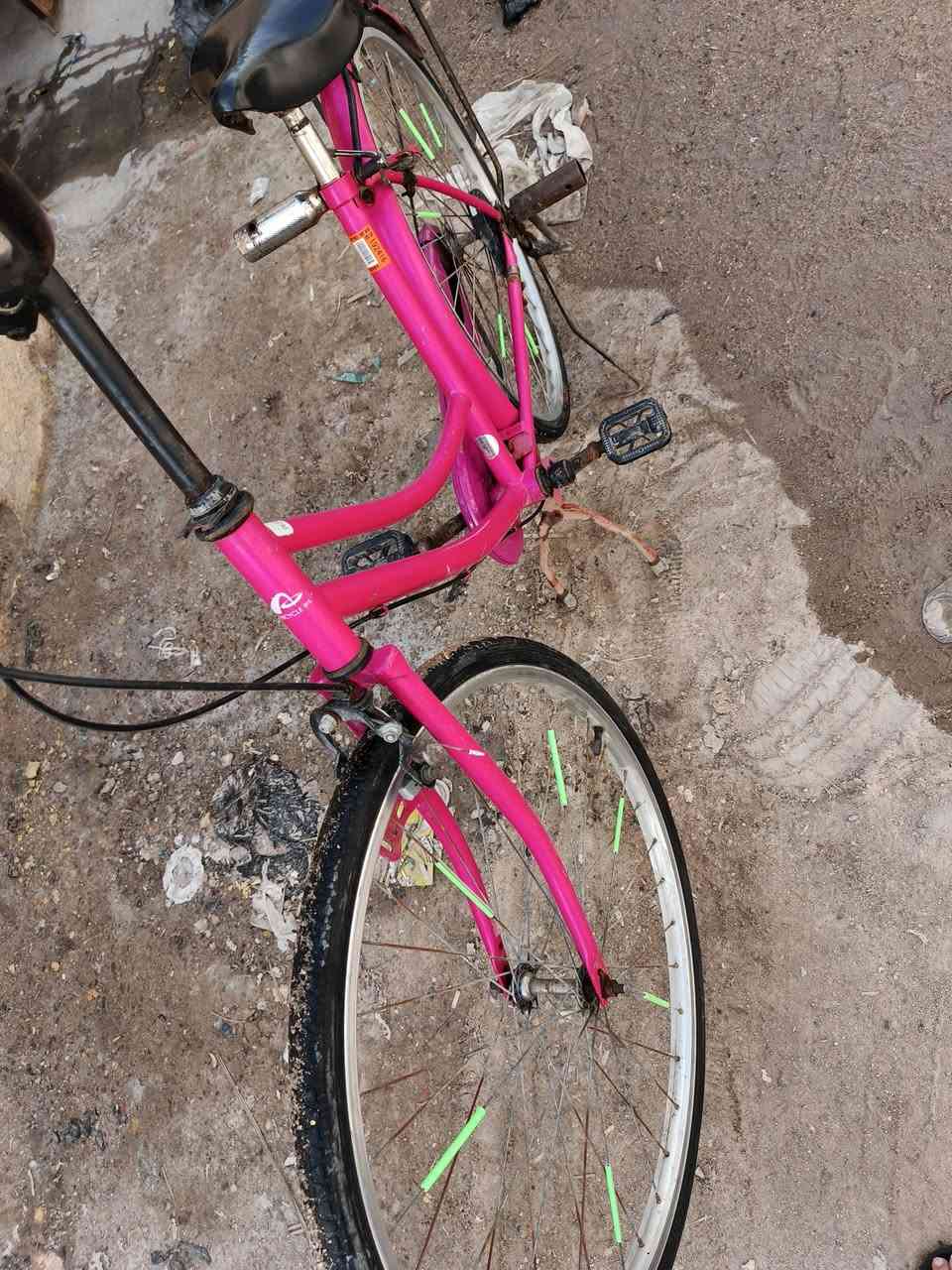 للبيع مكاني بصرة جزيرة سعر $ موديل 2016


**إذا كنت صاحب هذا الإعلان وتريد حذفه لأي سبب، رجاءا أرسل رسالة إلى الدعم الفني**