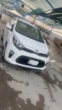 بيكانتو • ٢٠٢٠ • مكفولة صبغ