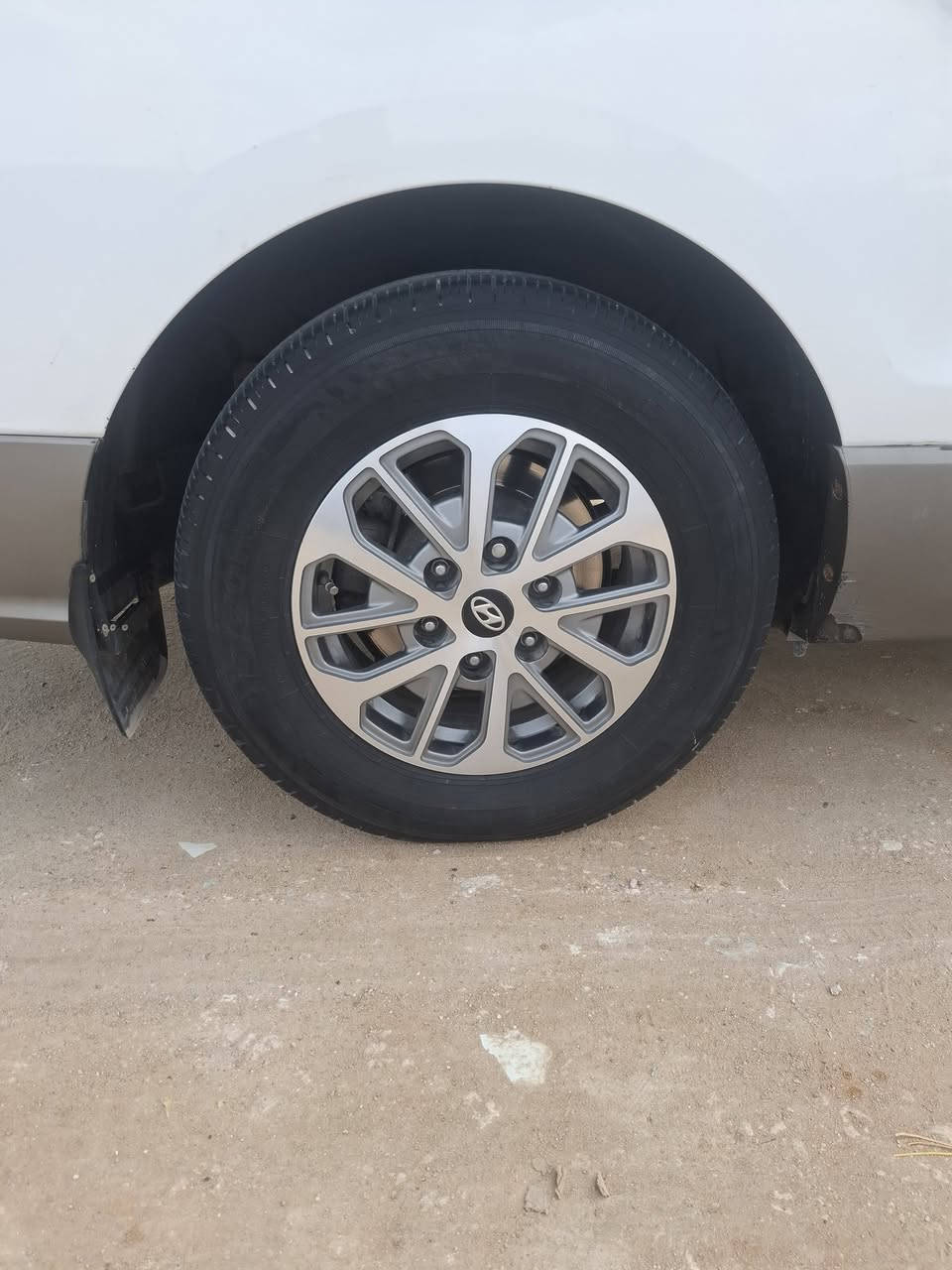 وياله 16 VIP  مراوس بويل ادبلو 16
