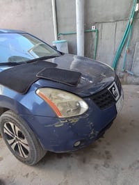 نيسان روج • ٢٠٠٩ • تكم أمامي