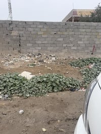 قطعة ٢٥٠متر طابو زراعي الكمالية نهايت شارع المصرف ٠٧٧٠٢٧٠٨٦٩٣