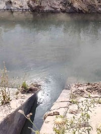 التاجي ذراع دجله • ٢٠ دونم • طابو سند ٢٥