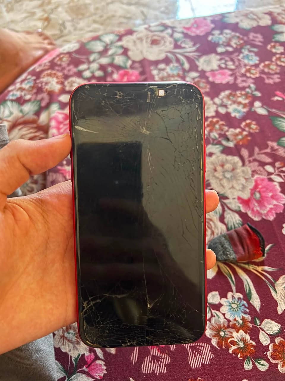 ايفون 11 عادي للبيع
ذاكره 128
مبدل بطاريه وشاشته بيها كسر
140 الف


**إذا كنت صاحب هذا الإعلان وتريد حذفه لأي سبب، رجاءا أرسل رسالة إلى الدعم الفني**
