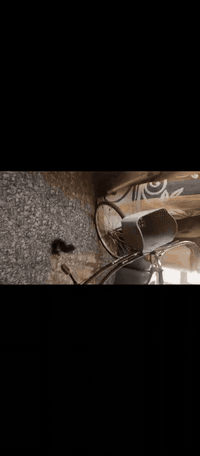 السلام عليكم اريد ابيع بايسكل حجم 26 ياباني ب60الف للتواصل ***********
