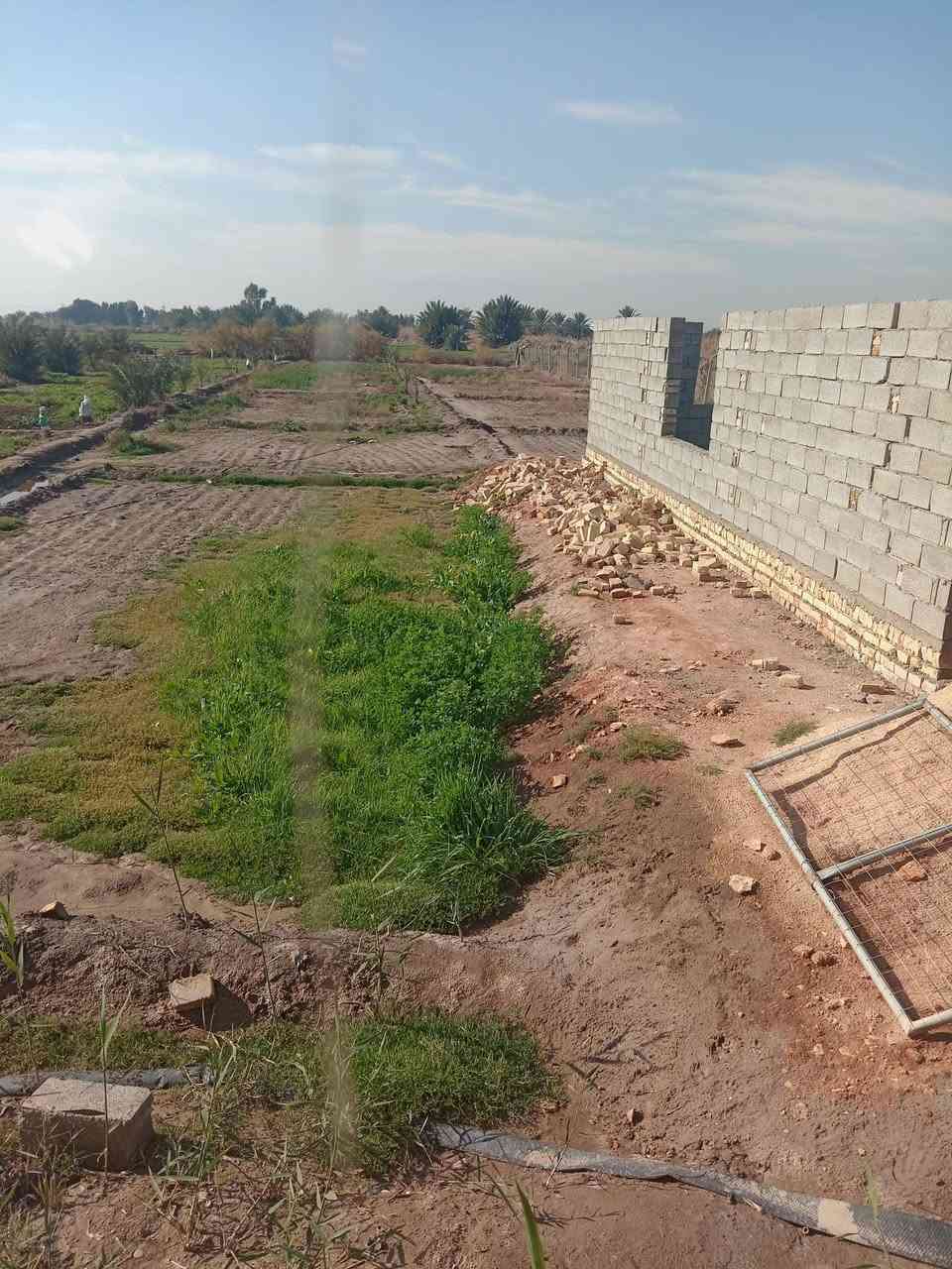 سلام عليكم عندي كاعد دونم وبيه بيتين مثل ماموضح بلفيديو بيت طابوك جبير كامل وثاني بلوك هيكل الكاعد مزروعه كله جت وبيه مراح مال عجول المكان ديوانيه غريت العطاء يم ملعب سنبله البيت عل نهر مباشرتن السعر 75 اليشتري خل يتواصل ويانه والمايشتري لا يضل بس يراسل *********** اليحب يستفسر اكثر اتصل على هاذه رقم
