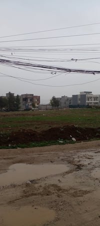 الكوبكلية • ٥٠٠م • بستان ملك صرف