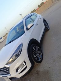 توكسان • ٢٠١٩ • رقم اربيل