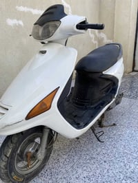 دراجة فراشة • فحل • البصرة شط العرب