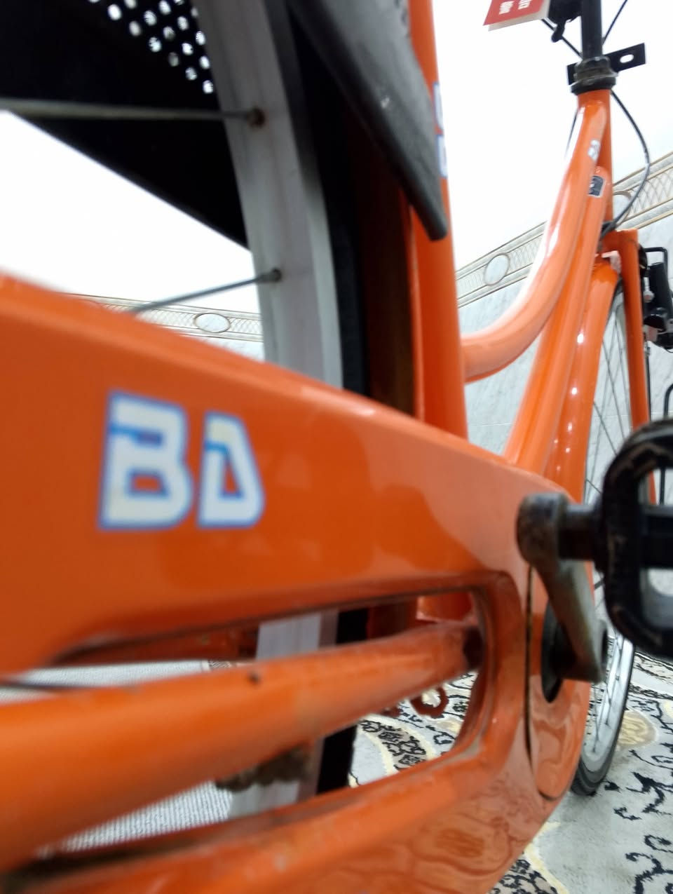 سلام عليكم باسكل للبيع حجم 26بيدي لون مميز لمكان نجف عباسيه لسعر خاص موديل 22


**إذا كنت صاحب هذا الإعلان وتريد حذفه لأي سبب، رجاءا أرسل رسالة إلى الدعم الفني**