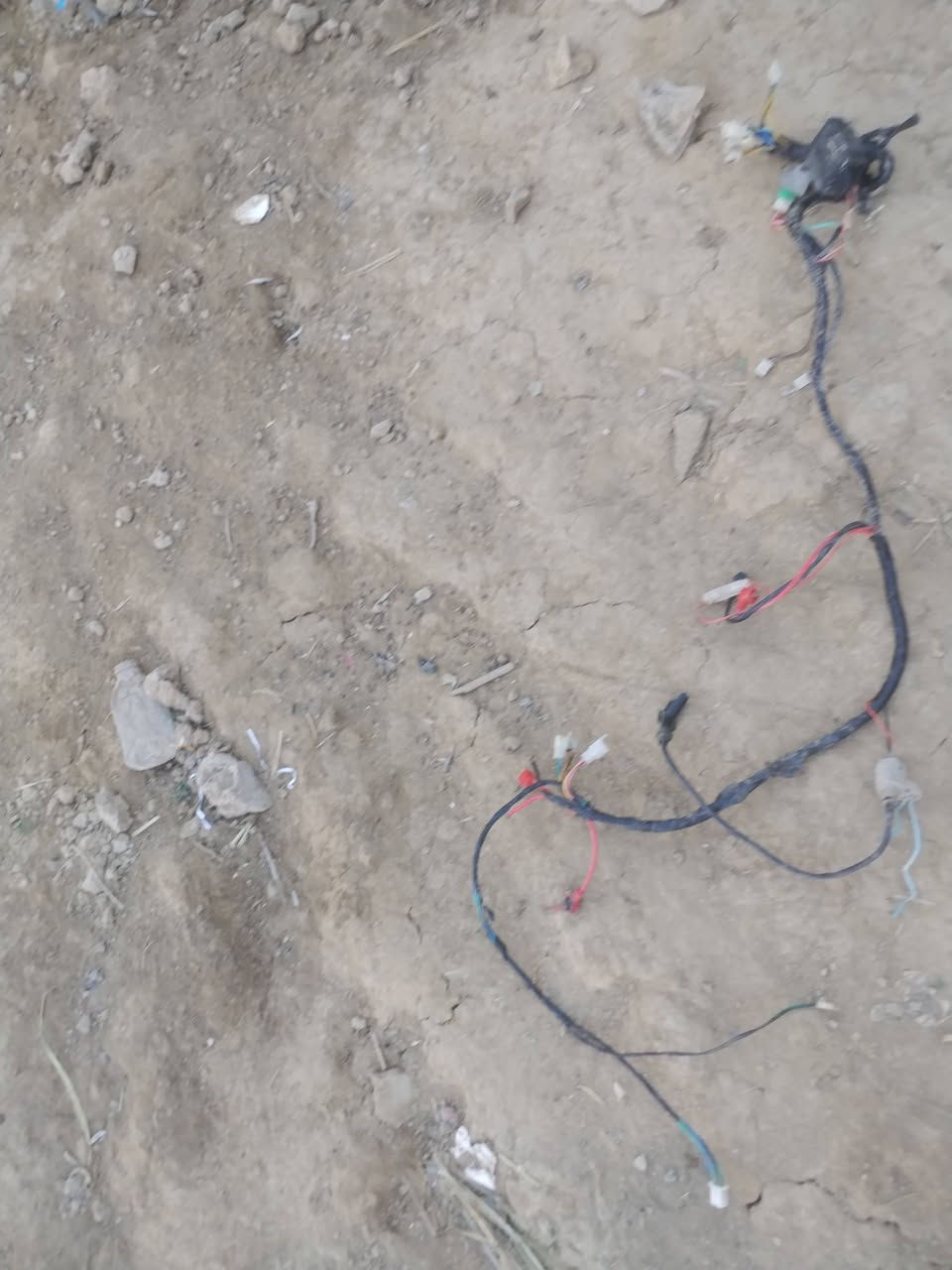 السلام عليكم غراض تزويد للبيع سعر مناسب ضفيره ماكس


**إذا كنت صاحب هذا الإعلان وتريد حذفه لأي سبب، رجاءا أرسل رسالة إلى الدعم الفني**