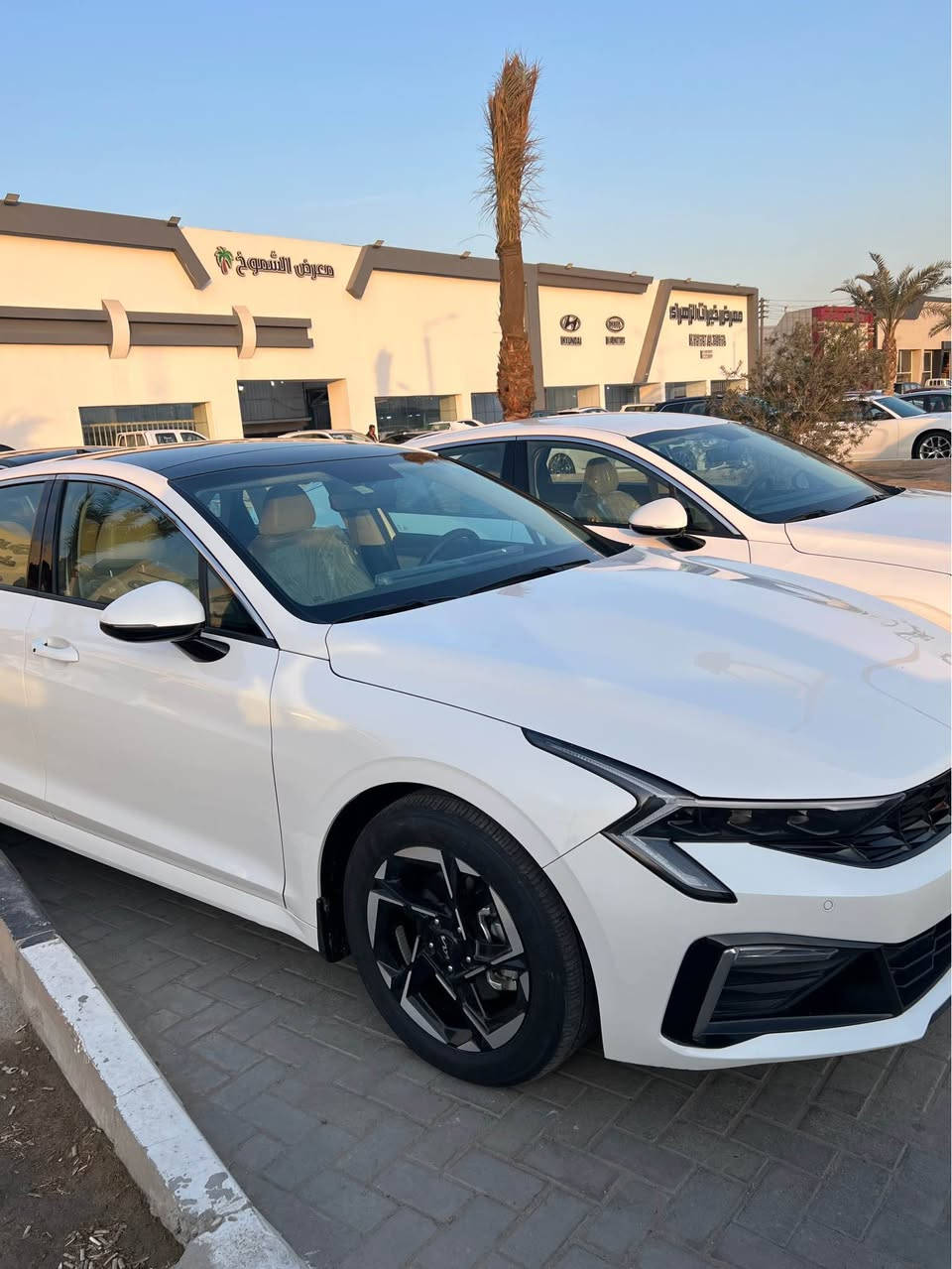 سلام عليكم k5 مديل 2024 السياره كفاله عامه ماشيه ٣٠ الاف فول فول كشنات جلد و فتحه بنوراما خليجي  ملاحضه السياره  بيه شخط  باب السايق فقط السعر ب 225 و بيه مجال  السياره موجوده داخل معرض الفيحاء 1 في القبله الاستفسار ع *********** Singapore
