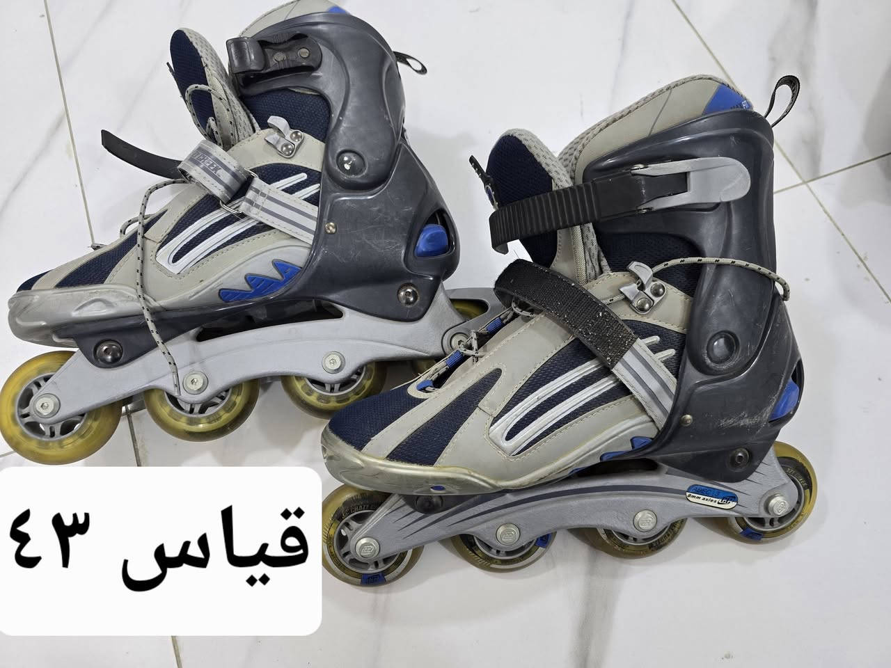 ١٦ قطعه ابيعهم شلعه القطعه ٧ توصيل جميع المحافظات ٥ الاف الحجز خاص


**إذا كنت صاحب هذا الإعلان وتريد حذفه لأي سبب، رجاءا أرسل رسالة إلى الدعم الفني**