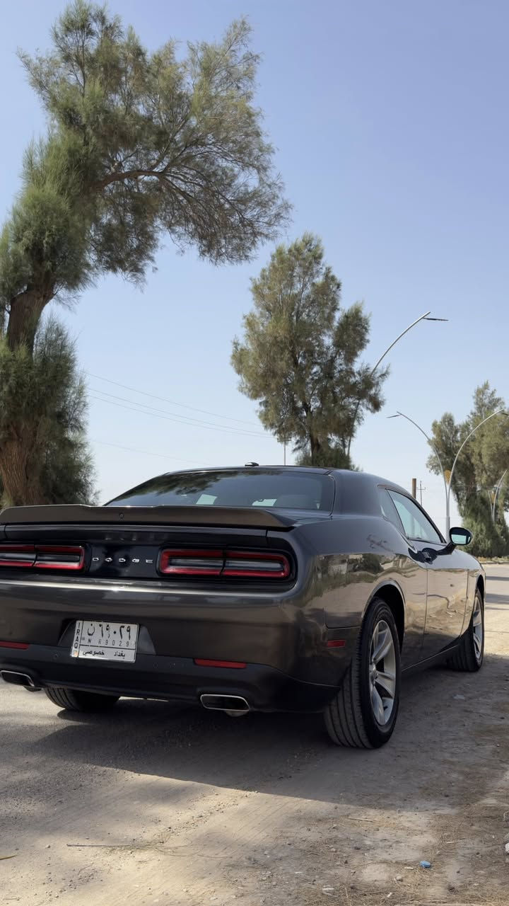 جالنجر 2018 sxt
المواصفات: شاشة تدعم كار بلي 
كاميرا خلفية 
حساسات خلفية
نقطة عمياء بالمري
كشن كهرباء
تحكم ستيرن
3 وضعيات قيادة 
التسارع من ال0 لل100 ب6 ثواني 
القوة 305 حصان
ضرر امريكا قطعتين صبغ جاملغ و بنيد الايسر و الصفحه اليمنه بيهه بارد بالجاملغ الامامي و مرشوش كلير ويه الباب للملاون
اخوان السيارة كير محرك كهربائيات فول الفول اداء و نشاط تشلع التبليط نضافة و صدر و گشر تخبل بالعافية ع الياخذهه 
السعر:140 
للتواصل:***********
