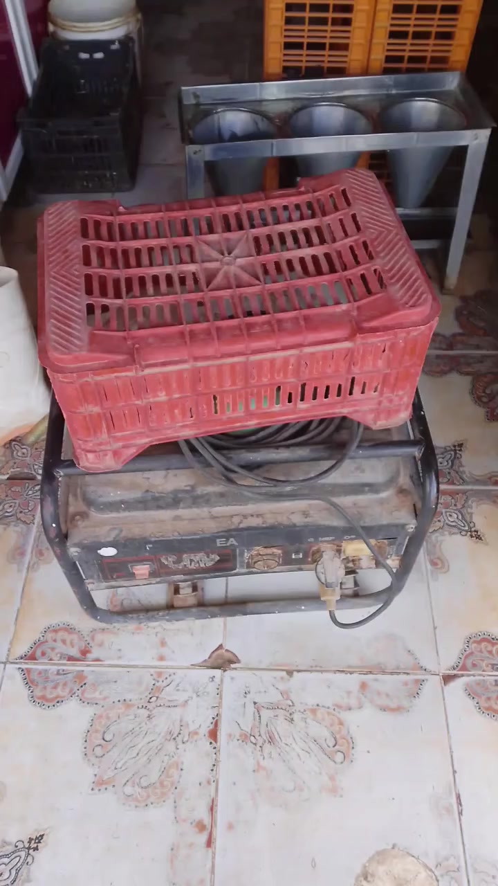 محل دجاج ويا غراضه للبيع عنوان محل روناكي رقم موبايل ***********
