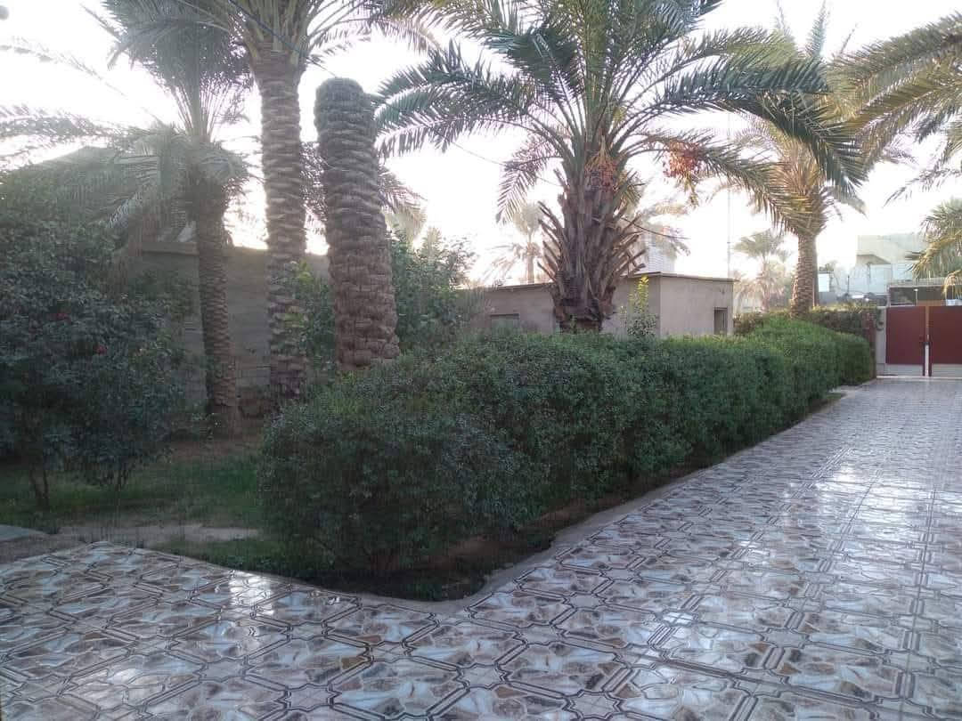 بيت للبيع عقد زراعي 35 مصفره على شارع تبليط رئيسي  مساحة البيت 1000متر  البناء فيه 160 متر مع  حقل 150 متر مع  7 دوانم بستان ملاصق للبيت ويوجد ماء فياض في البستان و  يحتوي على نخل ..برحي ..مكاوي ..خستاوي ..غريبة ..الخ  .كذلك مدارس قريبة وخدمات متوفره فول ..محتويات الببيت 
استقبال ....3 غرف نوم ...حولي ...مطبخ ...حمام وتواليت ...مع ديوان خارجي وتواليت خارجي عدد2 

الموقع ..ديالى ...الخالص ...ابو تمر ..على الشارع الرئيسي تبليط .. 
للاستفسار المراسلة على الخاص الماسنجر او الاتصال على الرقم *********** كذلك فيه واتساب
